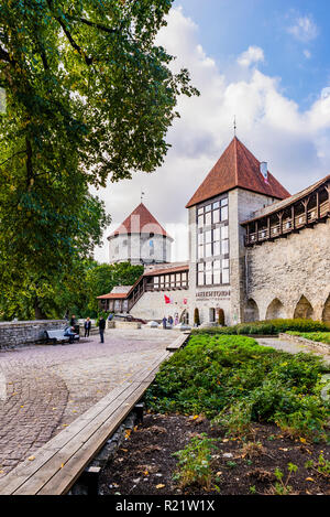 Der dänische König's Garden und Maiden Tower, Tallinn, Harjumaa, Estland, Baltikum, Europa. Stockfoto