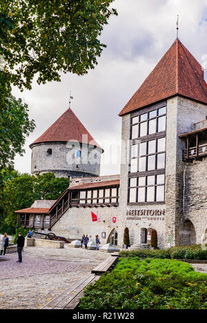 Der dänische König's Garden und Maiden Tower, Tallinn, Harjumaa, Estland, Baltikum, Europa. Stockfoto