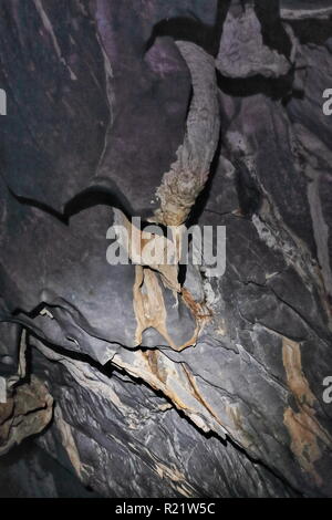 Felsformationen von grauen Kalkstein mit speleogens und rötlich Tropfsteine der beginnenden Stalaktiten in St. Paul's Underground River Cave. Puerto Princes Stockfoto