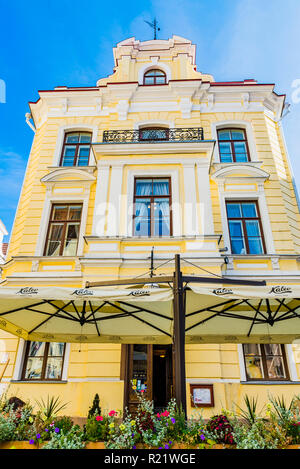 Maiasmokk ist ein altes Café in der Hauptstadt Tallinn, im Erdgeschoss des gelben Gebäude im Zentrum. Tallinn, Harjumaa, Eston Stockfoto