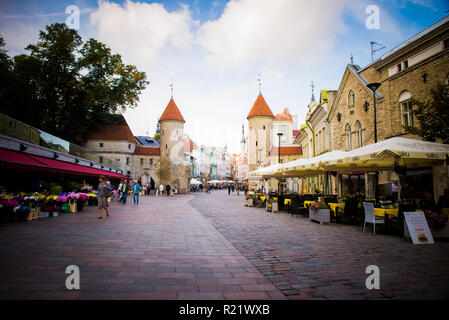 Tallinn Viru Tor, dem östlichen Eingang in die Zentrale mittelalterliche Altstadt. Tallinn, Harjumaa, Estland, Baltikum, Europa. Stockfoto