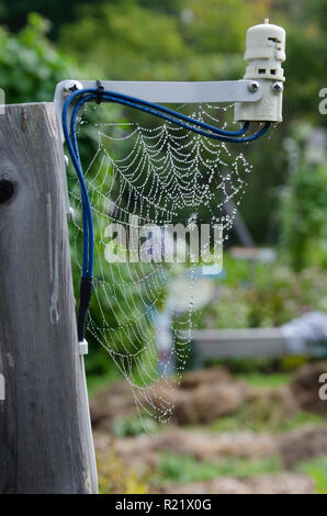 Spinnennetz drehte sich auf einer Bewässerungsanlage in der Gemeinde Garden, Yarmouth, MIR Stockfoto