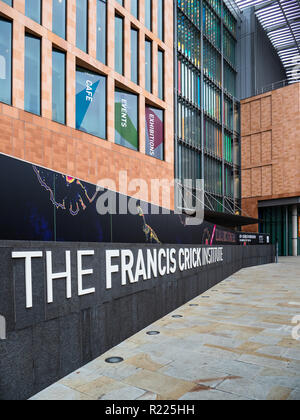 Die crick - Francis Crick Institut London - Eine neue biomedizinische Forschung Institut im August 2016 eröffnet. Architekten: HOK und PLP Stockfoto