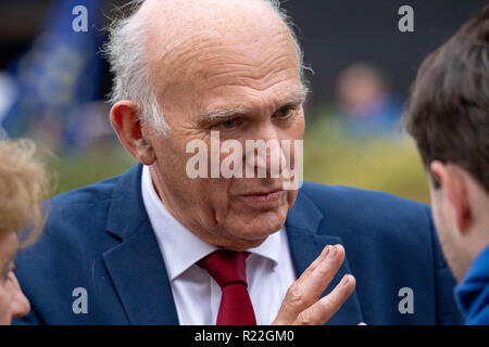 London 15. November 201 Vncent Kabel, Führer der Liberaldemokraten im Gespräch mit Journalisten zu seiner Reaktion auf die Brexit Ankündigung. Kredit Ian Davidson/Alamy leben Nachrichten Stockfoto