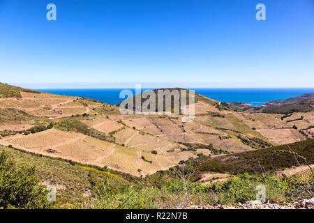 Côte Vermeille, Pyrénées-orientales, Katalonien, Languedoc-Roussillon, Frankreich Stockfoto