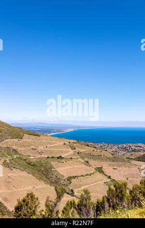 Côte Vermeille, Pyrénées-orientales, Katalonien, Languedoc-Roussillon, Frankreich Stockfoto