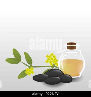 Simmondsia Chinensis, Jojobaöl Glasflasche, ätherisches Öl Aromatherapie, Haarpflege, Hautpflege, neutral Therapie. Gesundheit Alternative Medizin. Stock Vektor