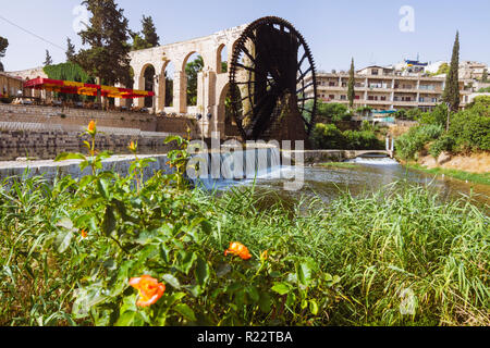 Hama, Hama Governatorat, Syrien: 14. Jahrhundert al-Muhammadiyah noria am Orontes, die larget der Hama Wasserräder und seine alten Aquädukt, Stockfoto