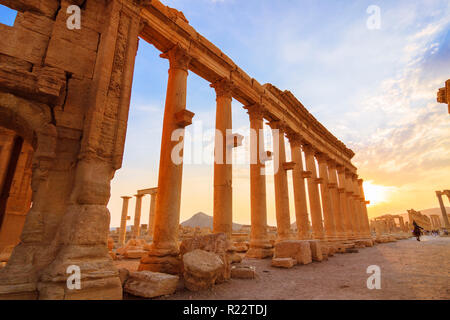 Palmyra Homs Governatorat, Syrien - 26 Mai 2009: Große Kolonnade von Palmyra bei Sonnenuntergang. Im zweiten und dritten Jahrhundert gebaut, es dehnte f Stockfoto