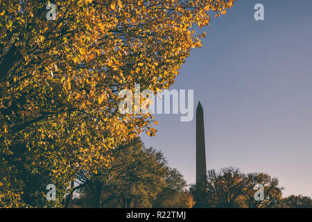 Blick auf den Washington Monument mit Herbst Laub und blauer Himmel Stockfoto