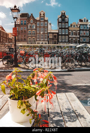 Klassischen Amsterdamer Gebäude im Hintergrund mit Fahrrädern, Lamp Post, gepflasterten Straßen und einem Blumentopf im Vordergrund sitzt auf einem Outdoor l Stockfoto