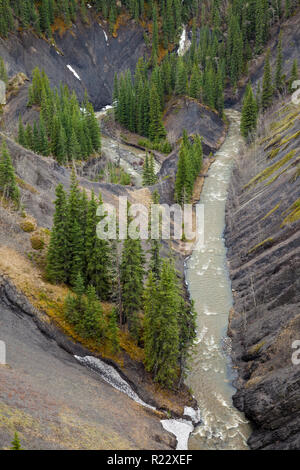 Luftaufnahme eines Mountain Creek in einem tiefen Canyon, Rocky Mountains, Kanada Stockfoto