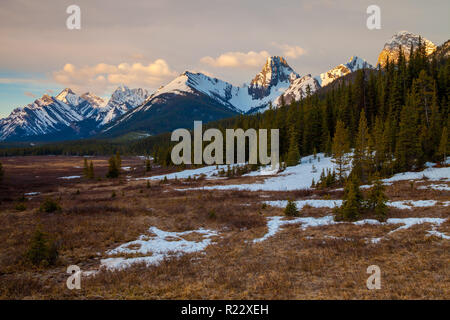 Die Berge und eine Wiese in Kananaskis Alberta, Kanada Stockfoto