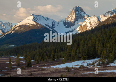 Die Berge und eine Wiese in Kananaskis Alberta, Kanada Stockfoto