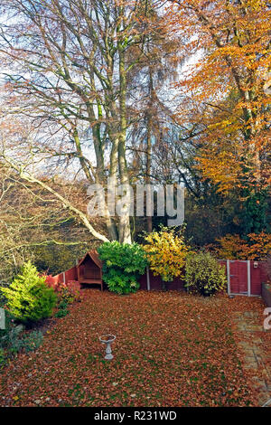 Herbst in rhe Garten Stockfoto