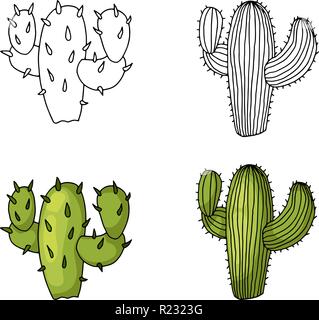 Cactus Hand zeichnen und zu natürlichen grünen Kalk mit Schatten gefärbt. Stock Vektor