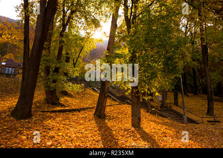 Schönen Herbst Landschaft nahe dem Eingang zur Seilbahn für Tampa Mountain in Brasov. Boden bedeckt in der bunten Blätter und die Sonne scheint durch Stockfoto