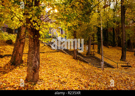 Treppen die Seilbahn zum Berg Tampa durch die bunten Blätter im Herbst umgeben, im Morgenlicht. Stockfoto