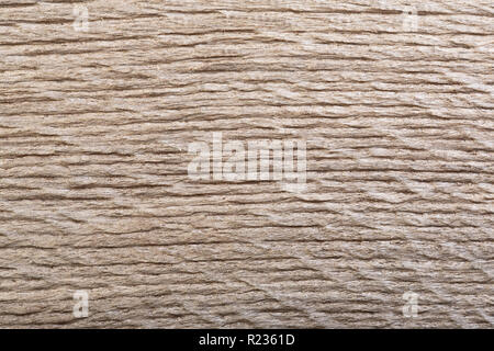 Alte natürliche Holz Mooreiche. Makro Foto, Textur. Stockfoto