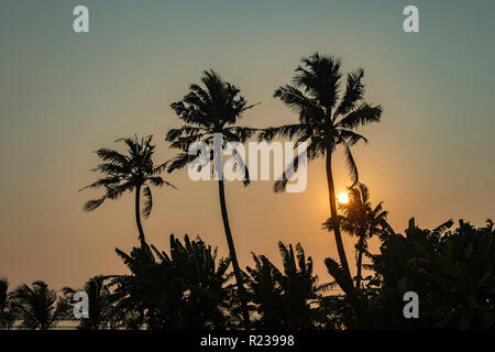 Sonnenuntergang über Kerala Gewässer, in der Nähe von Trivandrum, Kerala, Indien Stockfoto