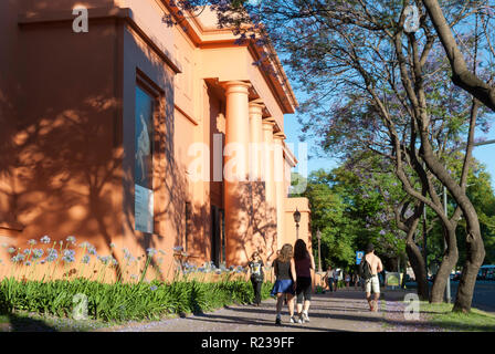 Jacaranda Bäume in Buenos Aires, Argentinien, im Frühling Stockfoto