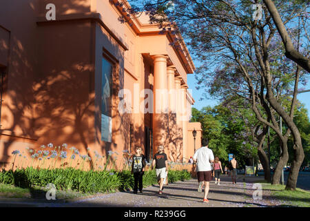 Jacaranda Bäume in Buenos Aires, Argentinien, im Frühling Stockfoto