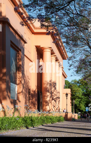 Jacaranda Bäume in Buenos Aires, Argentinien, im Frühling Stockfoto