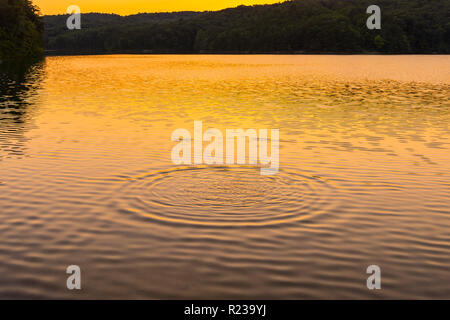 Planschen im See bei Sonnenuntergang, Pennsylvania, USA Stockfoto