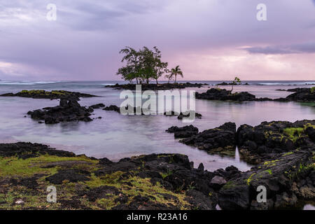 Felsigen Ufer bei Sonnenaufgang in Hilo, Hawaii. Vulkanischen Felsen und Gras am Ufer; kristallklares Wasser mit Felsen bei Ebbe; Bäume auf Offshore zutage. Stockfoto