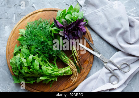 Frisch geerntete Kräuter, Trauben von frischem Kraut auf grauem Beton Hintergrund von oben. Bündel von Basilikum, Dill und Rucola mit einer Schere. Ansicht von oben. Fla Stockfoto