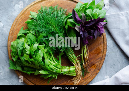 Frisch geerntete Kräuter, Trauben von frischem Kraut auf grauem Beton Hintergrund von oben. Bündel von Basilikum, Dill und Rucola. Ansicht von oben. Flach. Stockfoto