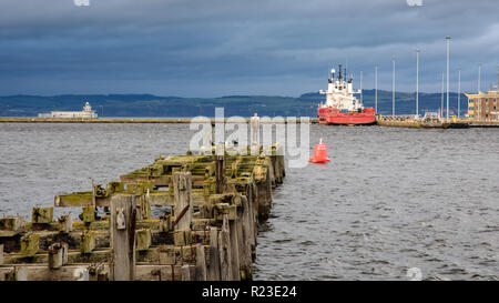 Edinburgh, Schottland, Großbritannien - 3. November 2018: Seevögel und eine Antony Gormley Statue stehen auf einer verfallenen und verlassenen Pier in Leith Docks, mit Westlichen Stockfoto