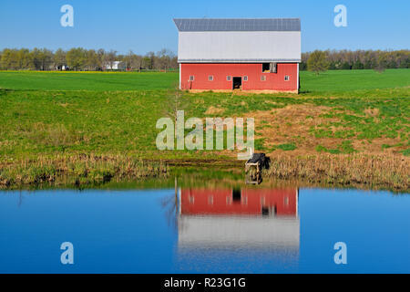 Red Barn in White Oak Teich, in der Nähe von Libanon, Missouri, USA wider Stockfoto