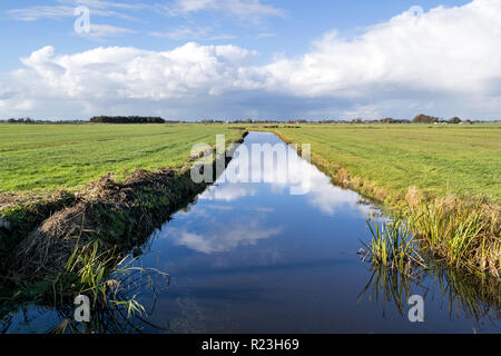 Holländische Polderlandschaft in der Provinz Friesland Stockfoto