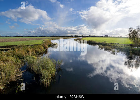 Holländische Polderlandschaft in der Provinz Friesland Stockfoto