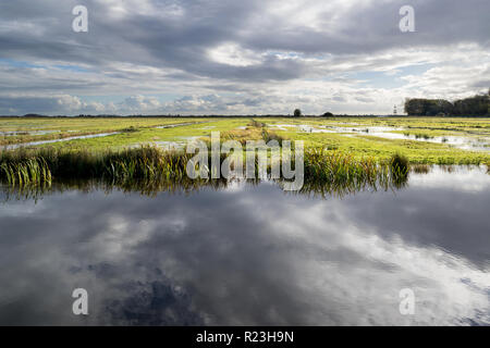 Holländische Polderlandschaft in der Provinz Friesland Stockfoto