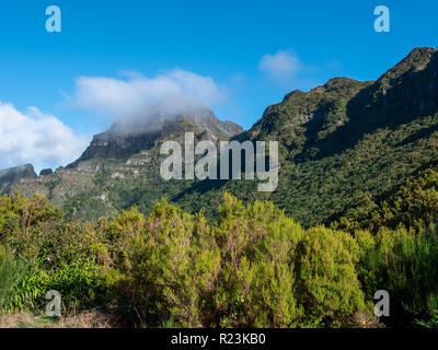 Levada Wanderwege auf der Südseite der Insel Madeira, Portugal Stockfoto