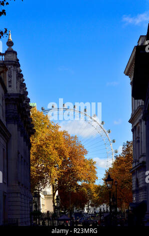 London Eye/Millennium Wheel aus Downing Street, London, England, UK gesehen. Stockfoto