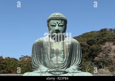 Daibutsu, Großen Buddha Statue an Kotoku-in Tempel, Kamakura, Präfektur Kanagawa, Japan Stockfoto