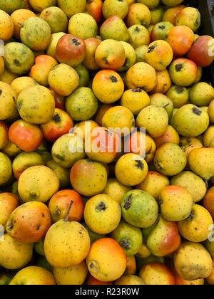 Tejocote, exotische tropische Früchte an einem mexikanischen Markt, genannt Jocote in Guatemala Stockfoto