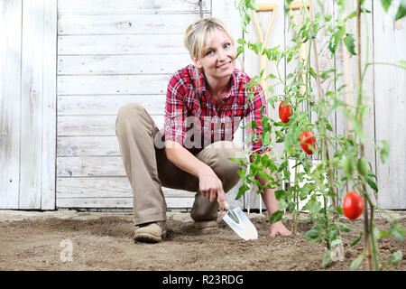 Lächelnde Frau im Gemüsegarten, Arbeiten mit Garten Kelle Werkzeug auf dem Boden sind, Cherry Tomaten Pflanzen und weißen Holzmöbeln im Hintergrund vergossen Stockfoto