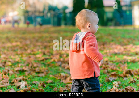 Die ersten Schritte auf den Blättern im Park auf sonnigen Herbsttag Stockfoto