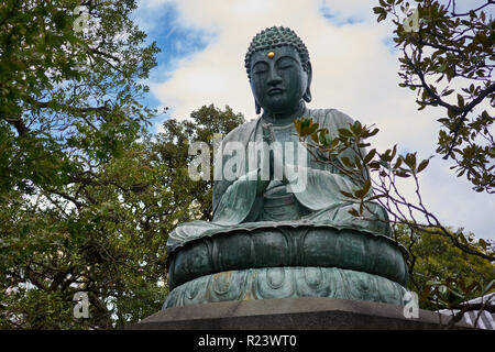 Bronze Buddha auf tennoji Tempel, Yanaka, Tokio, Japan, Asien Stockfoto