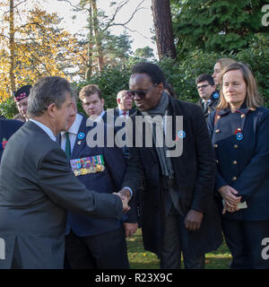 Sa. 10. Nov 2018. Französischer Botschafter Jean-Pierre Jouyet an der Freien französischen militärischen Bereich zu einer Trauerfeier & Award militärische Medaillen führen. Stockfoto