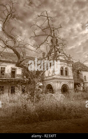 Alte gruselig verlassene ghost Palast mit haunted Baum vor, halloween Burg Stockfoto