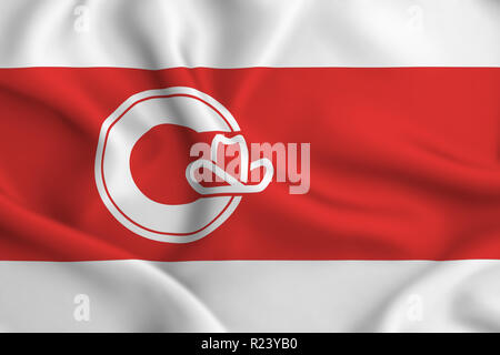 Calgary, Alberta 3D wehende Flagge Abbildung. Textur kann als Hintergrund verwendet werden. Stockfoto