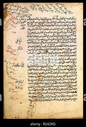 Yuhanna Ibn Bukhtishu (aktive Ca. 892), Organisation von Drogen mit dem bekannten Pflanzen, Medikamenten und Lebensmitteln. Diese Abhandlung über die Materia medica zu Yuhanna Ibn Bukhtishu, ein Mitglied einer Familie von syrischen Ärzte zugeschrieben, beinhaltet sowohl griechische und lokale Arzneimittel. Stockfoto