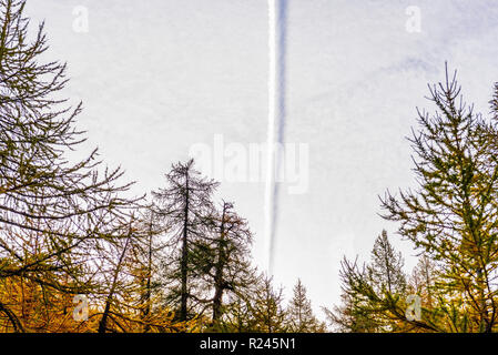 Leichte Wanderwege Blick in den Himmel von Alpe Devero an. Stockfoto