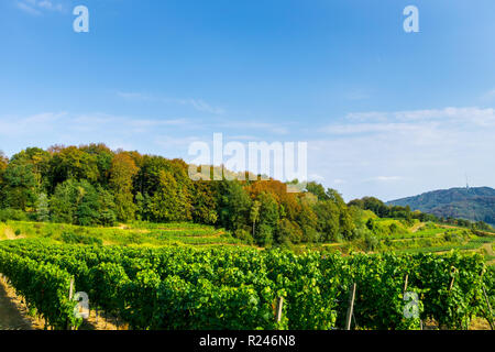 Deutschland, herbstliche Stimmung in bunten Kaiserstuhl Natur Landschaft und Wald Stockfoto