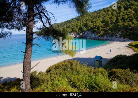 Kastani Beach, Skopelos, Sporaden Inseln, Griechische Inseln, Griechenland, Europa Stockfoto